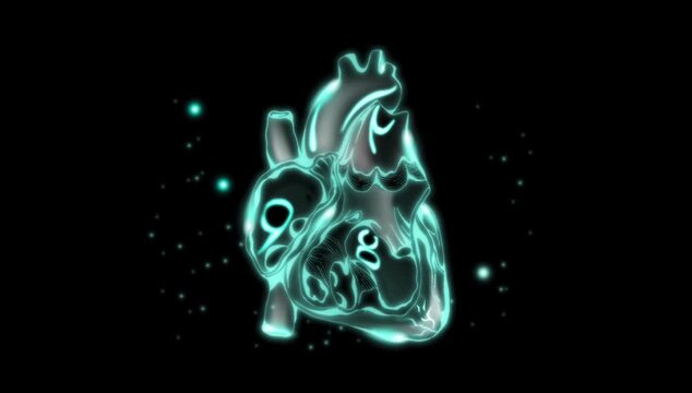 motion graphics animation of human anatomical heart