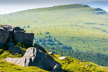 green alpine meadows in carpathian mountains of ukraine in summer. stones on grassy hills. popular travel destination for photo on a sunny morning. beautiful place for outdoor adventure under blue sky