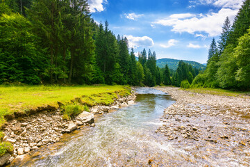 landscape with mountains, forest and a river in front. beautiful scenery in summer on sunny day. water flowing through synevyr national park. natural background for ecology and sustainability concept