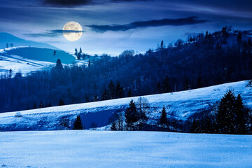 beautiful winter landscape with snow covered rolling hills under dark sky at night. majestic mountains in full moon light. frosty countryside scenery. backdrop for fiction art or mystery concepts
