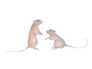 Watercolor animal collection. Winter set with mouses. Hand drawn isolated  illustration  white background