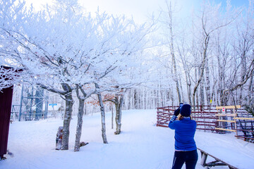 Rear view of a woman in a blue jacket admiring tree branches heavy with white rime ice and snow in a forest on the Niagara Escarpment during winter.