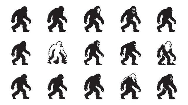 Evolution of Man Silhouettes in Modern Minimalist Style with High Contrast Black and White Color on Clean White Background for Educational Infographics