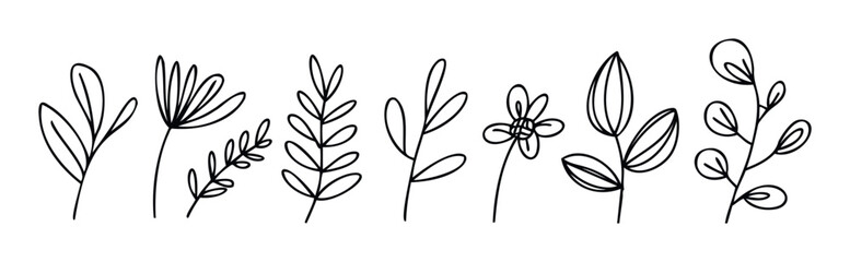 Fototapeta premium Hand drawn minimalist black line art illustrations of diverse foliage and floral elements suitable for organic product packaging, ecofriendly branding, and modern decorative accents.