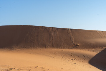 Desert landscape under a clear blue sky