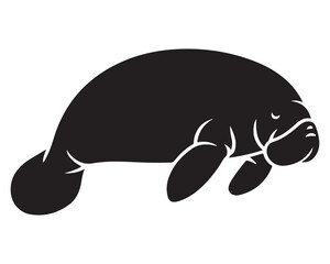 Manatee 9.eps