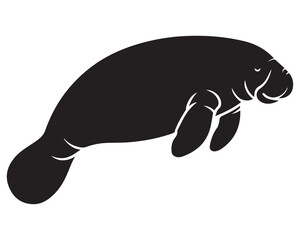 Manatee 10.eps