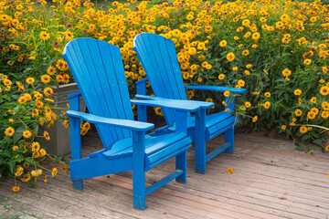 Blue lawn chairs on a patio surrounded by flower beds full of rubeckia.