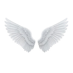 Obraz premium Pair of white feathered angel wings spread open against a black background white wings feathered wings