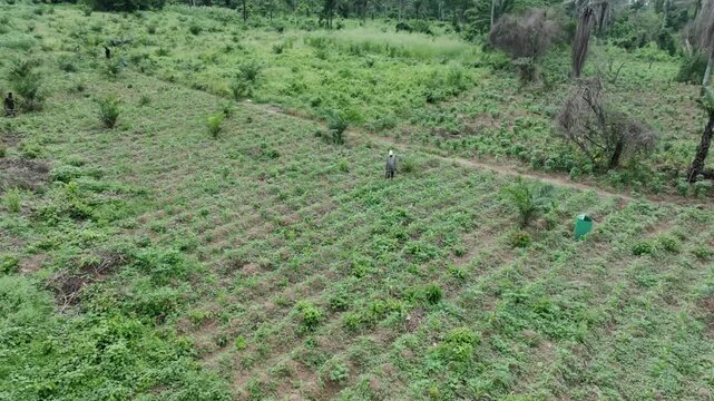 Aerial view of farmland with lush vegetation, a dirt path, and a green container, showcasing the landscape's texture and tone, Ibadan, Oyo, Nigeria.