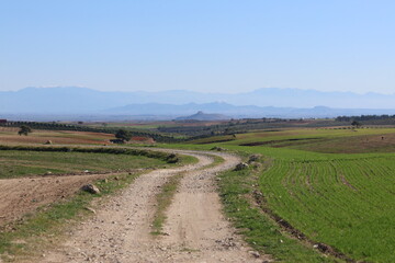 Obraz premium Rural Dirt Road Through Rolling Green Fields. The Path Less Traveled: Winding Trail Toward the Distant Mountains