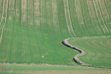 Rolling Green Agricultural Fields in Ceyhan: Abstract Landscape View of Vibrant Grassland with Winding Natural Ridges and Textured Cultivation Patterns