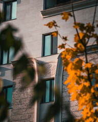 Modern building with clean lines framed by soft-focus autumn leaves, blending urban architecture...