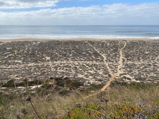 Atlantic Ocean in Nazar&eacute;, Portugal
