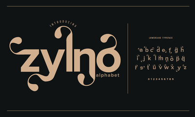 Elegant Font, aesthetic, Uppercase Lowercase and Number. wedding font, Classic Lettering Minimal Fashion Designs. Typography modern serif fonts regular decorative vintage concept. vector illustration