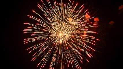 Colorful New Year fireworks exploding in the night sky