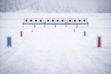 Snowy Biathlon Range with Target Markers