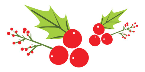Vector illustration of holly berry clipart for Merry Christmas or winter session   © Mostafizar
