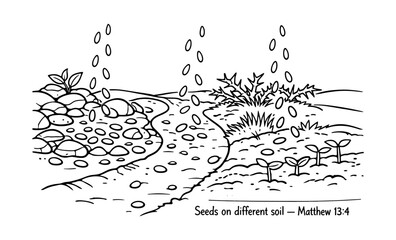 Parable of the Sower illustration showing seeds falling on various types of ground