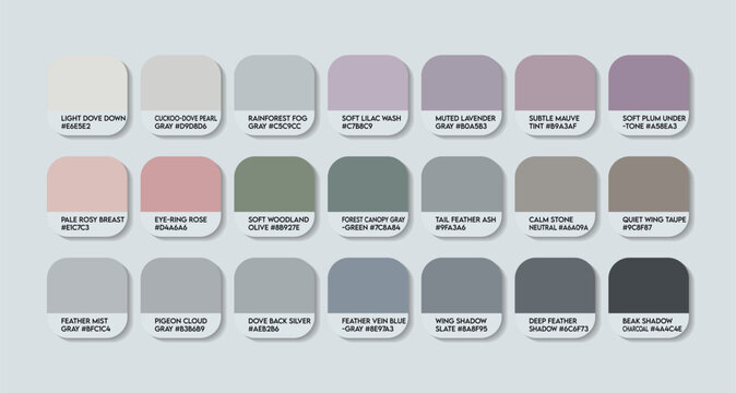 Great Cuckoo-Dove Color Palette with HEX Codes. bird in the pigeon family color Tone Swatch Chart. Bird colors with HEX Codes and Color Names. animals ash grey color palette vector for any kind design