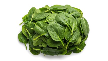 Fresh bunch of green spinach leaves.