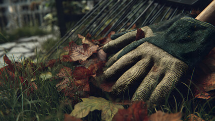 Decorative shrub shaping enhancing garden design aesthetics