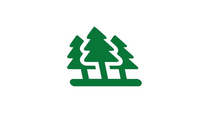 Three stylized green pine trees animation on a white background.