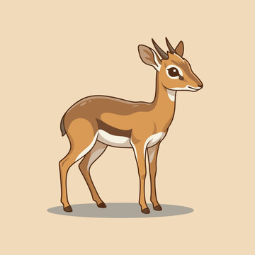 Cute Cartoon Dik-Dik Antelope Standing.