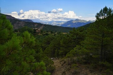 Fototapeta premium Beautiful natural landscape of the forest mountains in the summer time. Rainforest ecosystem, forested mountain. Natural scenery tropical green forest. Travel photo, nobody