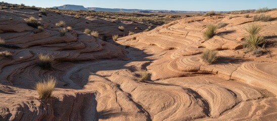 A stunning landscape showcasing textured rock formations with desert vegetation under a clear sky, highlighting natural beauty and geological patterns.