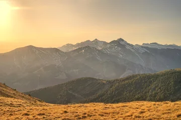 Acrylglasbilder Pantone 2025 Mocha Mousse Beautiful natural landscape of the forest mountains in the summer time. Rainforest ecosystem, forested mountain. Natural scenery tropical green forest. Travel photo, nobody  © Gonzalo
