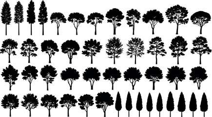 Black Tree Silhouettes Vector Set Featuring Various Deciduous and Coniferous Species for Architectural Visualization Landscape Design and Nature Graphic Illustration Patterns © BIPUL