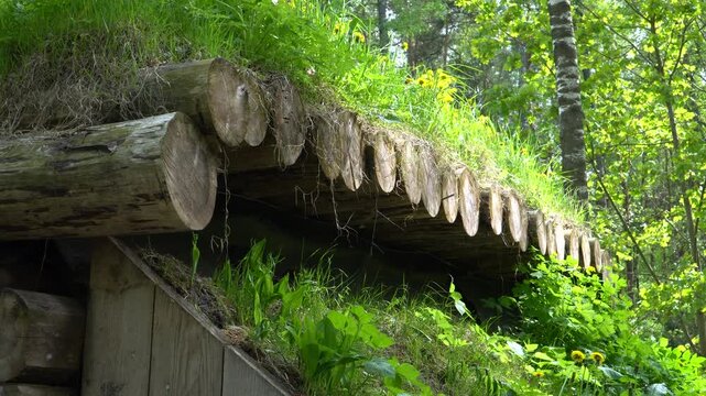 Weathered logs form a dugout roof layered with soil and turf; camera moves from tight close-ups of log ends, knots and moss to a wide view revealing the turf-covered structure in sunlit woodland.