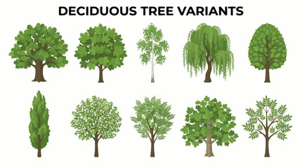 Deciduous Tree Variants Vector Set with Ten Unique Silhouettes for Botanical Education, Landscape Design, and Minimalist Nature-Themed Graphic Illustration Use