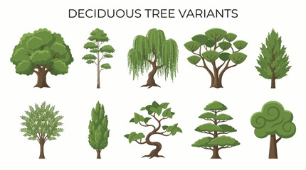 Deciduous Tree Variants Vector Set with Ten Unique Silhouettes for Botanical Education, Landscape Design, and Minimalist Nature-Themed Graphic Illustration Use