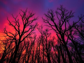 Dark trees against a vibrant sunset sky, stark branches reaching upwards,  art,  moody