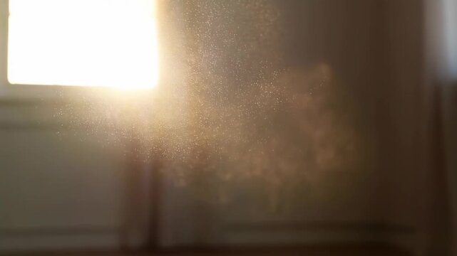 Sunlight streaming through window illuminating dust particles in cozy room