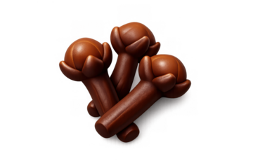 Cartoon clove spice icon design for culinary and aroma projects