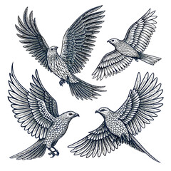 Obraz premium Hand drawn sketch of a bird in flight with wings spread, black and white ink illustration isolated on white background.