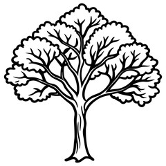 Obraz premium Locust tree line art vector