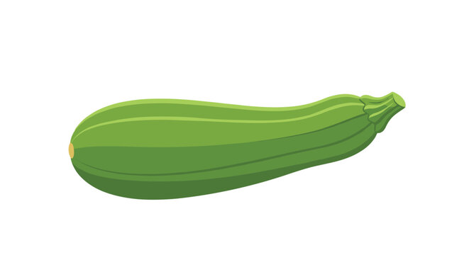 A simple and clean illustration of a whole green zucchini or courgette, depicted in a flat cartoon style and isolated on a plain white background.