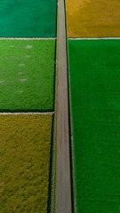 Culturas agr&iacute;colas de v&aacute;rias cores 