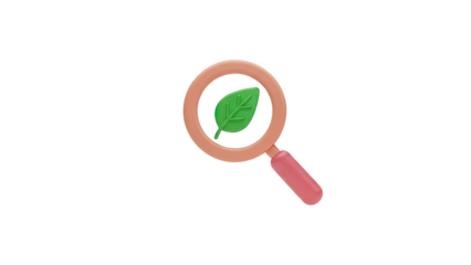 Magnifying glass over a green leaf icon
