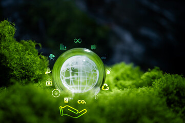 Renewable energy concept Earth Day or environment protection Hands protect forests that grow on the ground and help save the world.