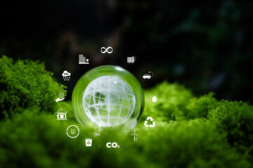 Renewable energy concept Earth Day or environment protection Hands protect forests that grow on the ground and help save the world.