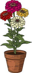 harmony of hues a potted burst of vibrant zinnia blooms, vector isolated on transparent background