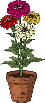 harmony of hues a potted burst of vibrant zinnia blooms, vector isolated on transparent background