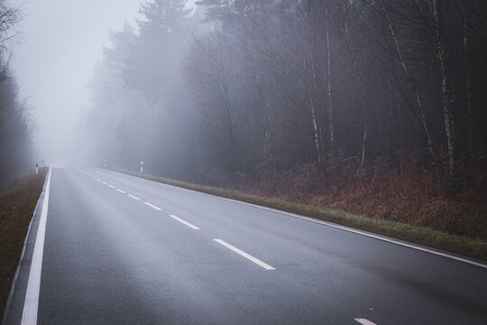 Wet forest road in dense fog during daytime, dark cold and moody atmosphere - Powered by Adobe
