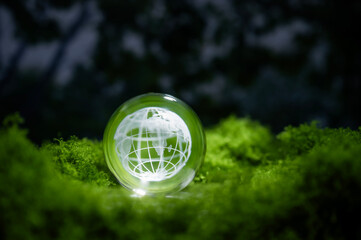 Renewable energy concept Earth Day or environment protection Hands protect forests that grow on the ground and help save the world.