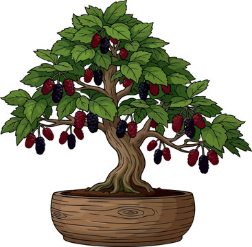miniature wisdom a bonsais journey of sweet abundance and cultivated growth, vector isolated on transparent background